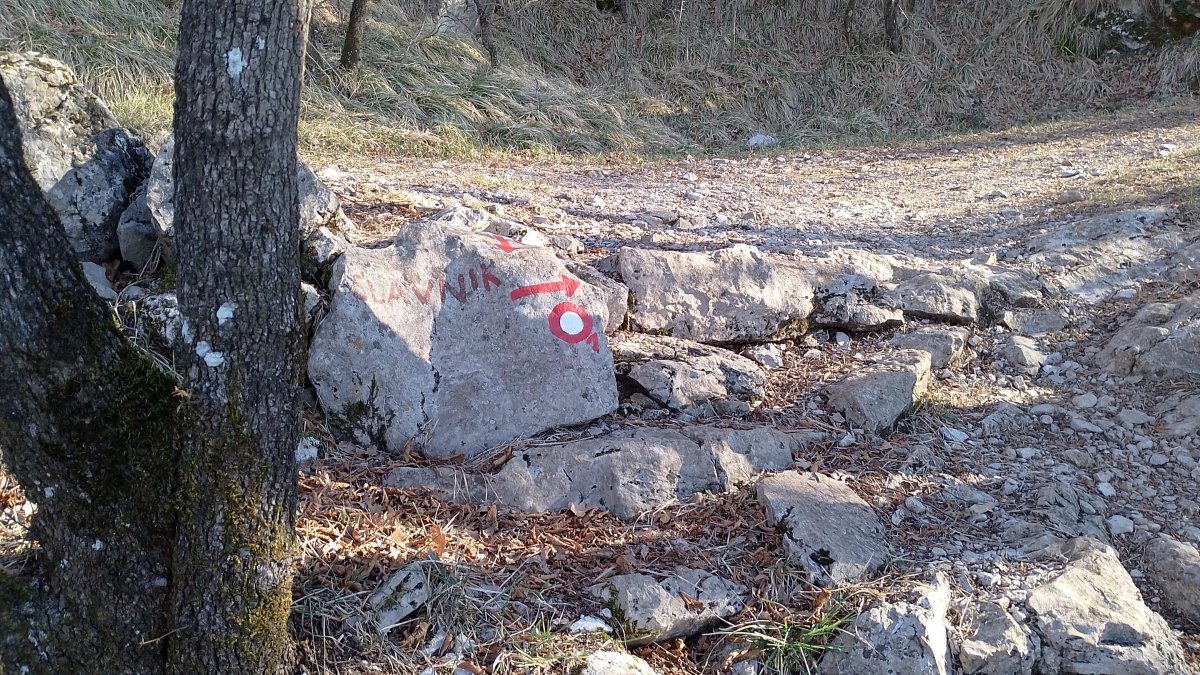 This way up Slavnik Hill.. This way up Slavnik Hill..
