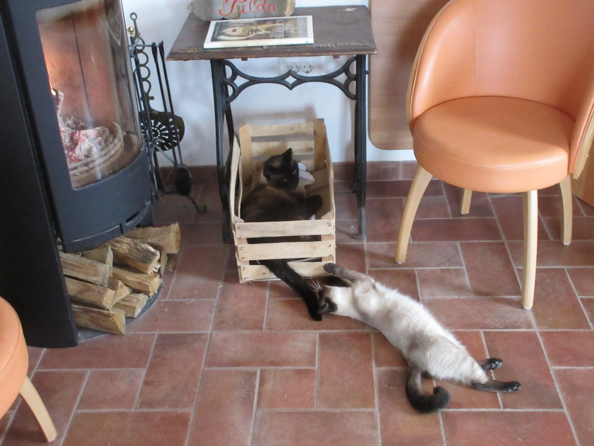 Relax by the woodburner.. Relax by the woodburner..