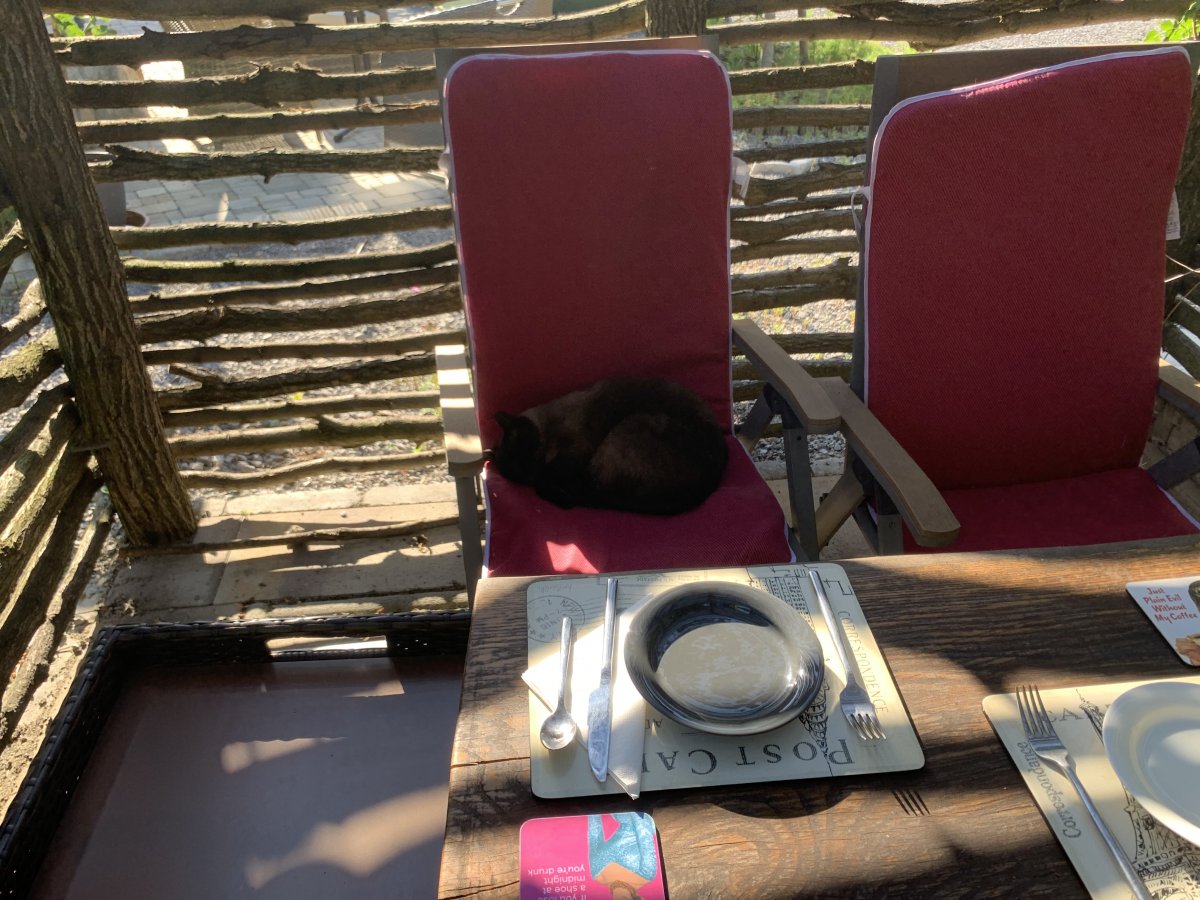 Get down to brekkie on time or Jason will nick your chair! Get down to brekkie on time or Jason will nick your chair!