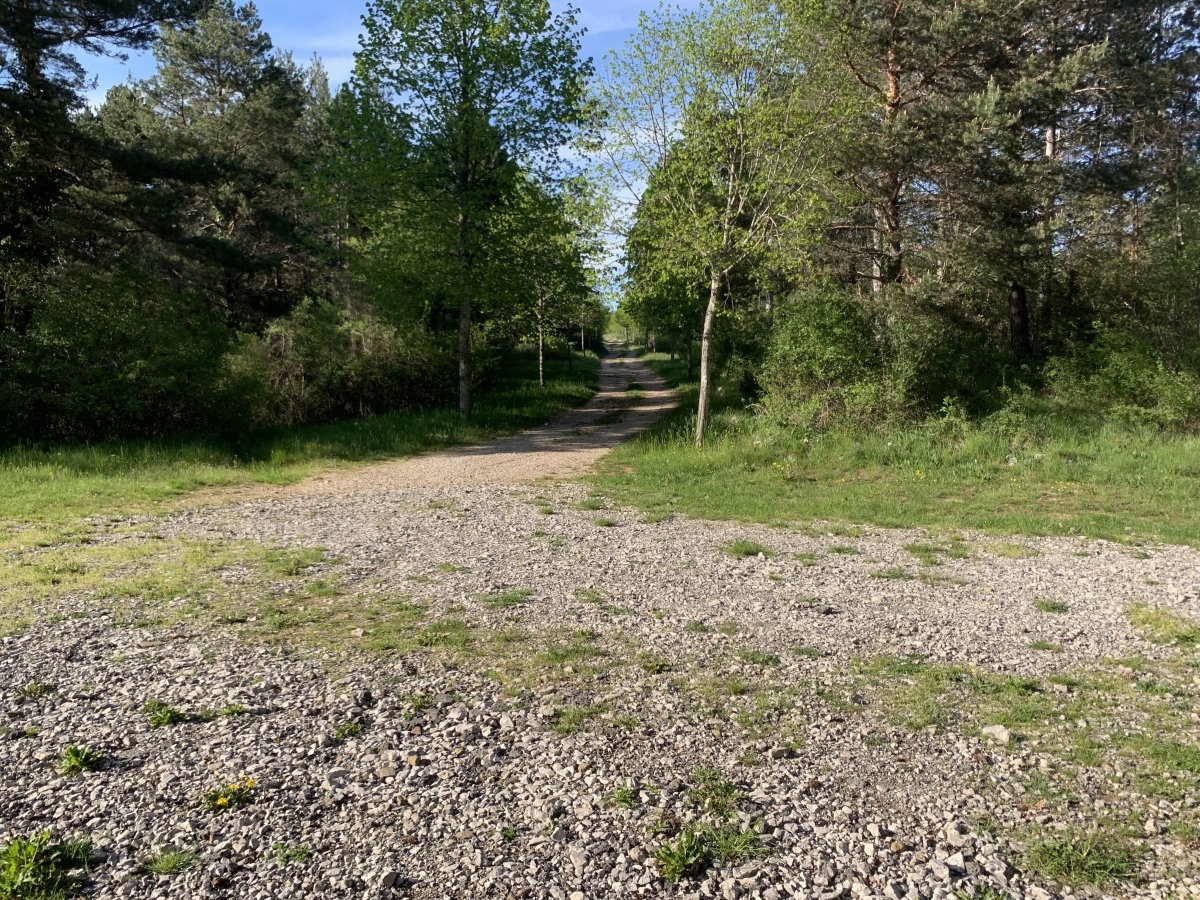a long bumpy stone track leads to a big car park, surrounded by trees.. you would never guess Dimnice cave hides down here..