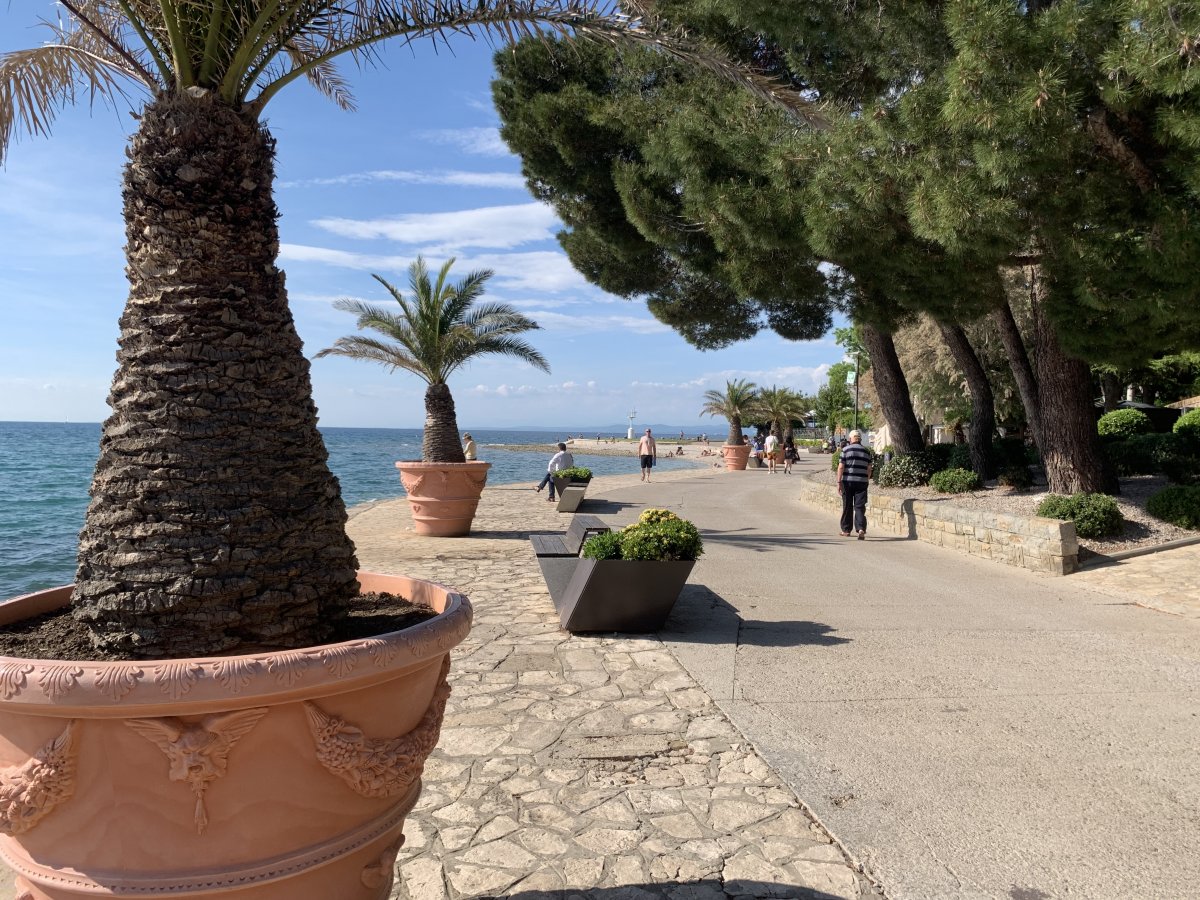 Enormous potted pineapples line the way to the main beaches on the island peninsula.. Enormous potted pineapples line the way to the main beaches on the island peninsula..