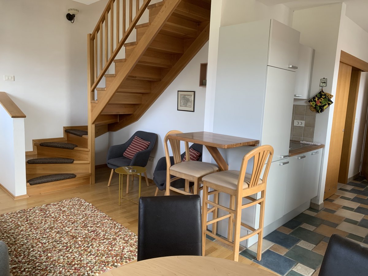 open plan downstairs with shower room, kitchen and lounge..