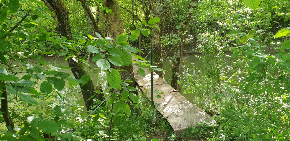 there is not a chance in a million years of finding this secret bridge, unless you know where to look!