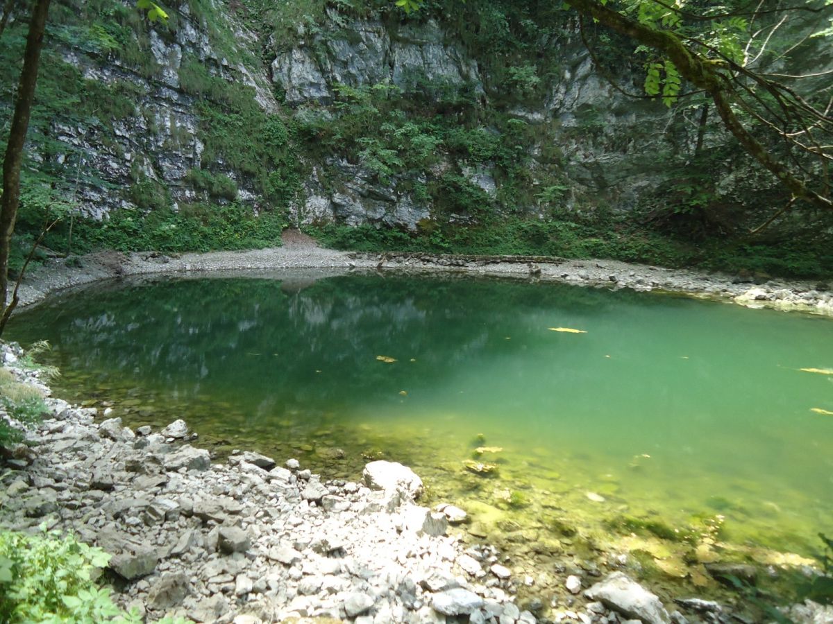 a tiny lake, but full of green atmosphere and hides a 500m deep cavern.. a tiny lake, but full of green atmosphere and hides a 500m deep cavern..
