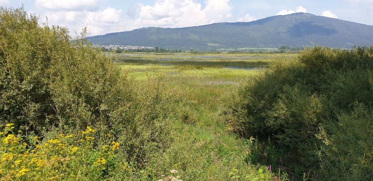 the peak opposite is Slivnica or Witches mountain and is another excellent option to climb for a great view of the lake..