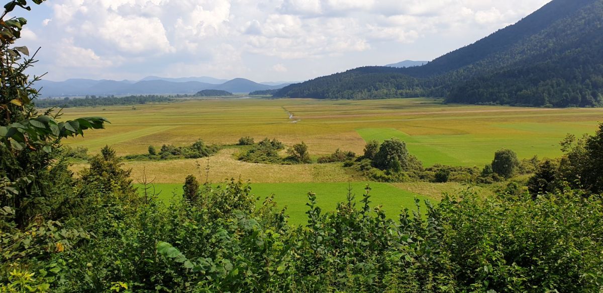 this view from the side of the lake show how vast it really is.. can you see Otok in the distance?