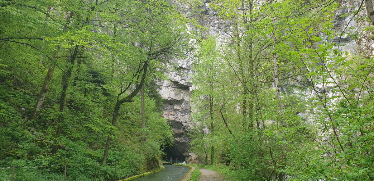 the cave mouth could easily fit a London double decker bus, but check out the amount of rock above! the cave mouth could easily fit a London double decker bus, but check out the amount of rock above!