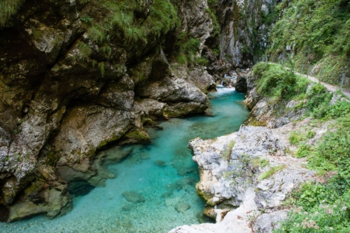 Tolmin Gorgeous & secret Cafe