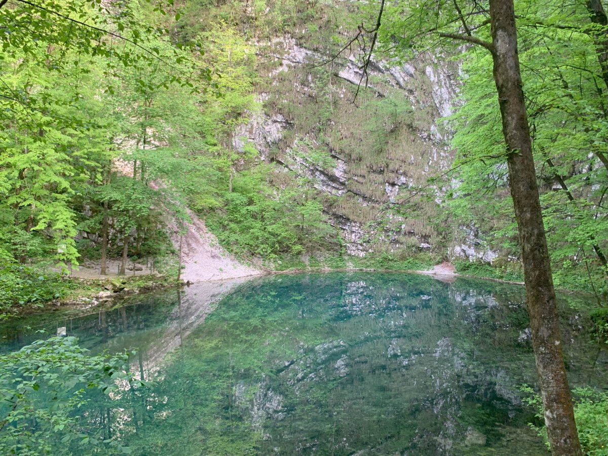 Make sure you do not miss both sides of this little lake, not far after the turn to the Bela Idrija river.. Make sure you do not miss both sides of this little lake, not far after the turn to the Bela Idrija river..