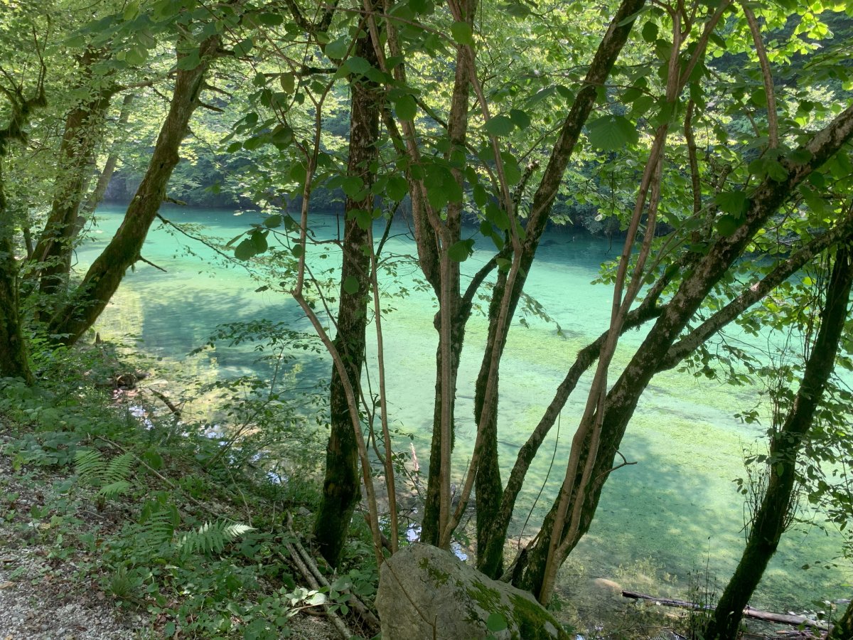 This is one of the reasons we call it all Green Slovenia, Baby.. This is one of the reasons we call it all Green Slovenia, Baby..