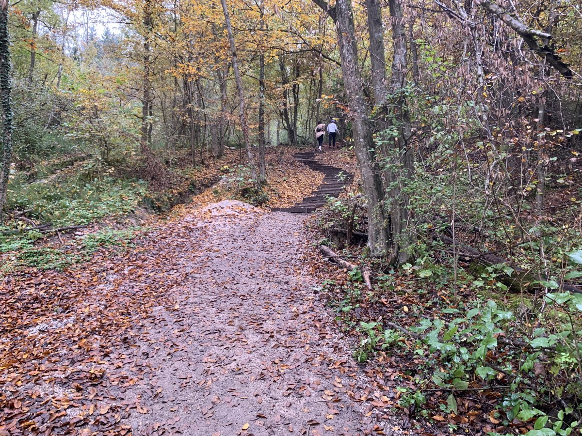 Steep walk up into the forest at the end of the gorge.. Steep walk up into the forest at the end of the gorge..
