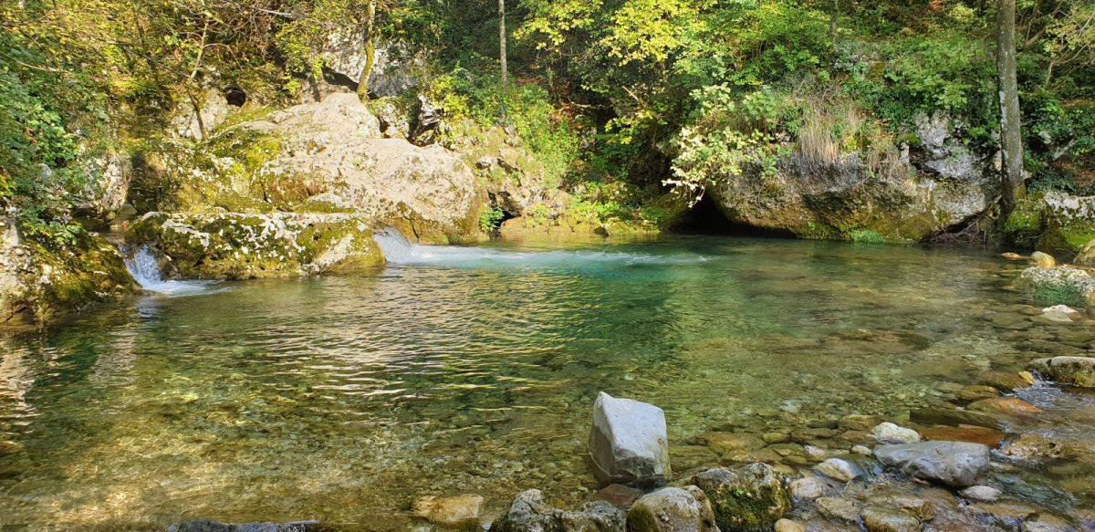 just imagine following a secret path and finding this place.. swimtastic!! just imagine following a secret path and finding this place.. swimtastic!!