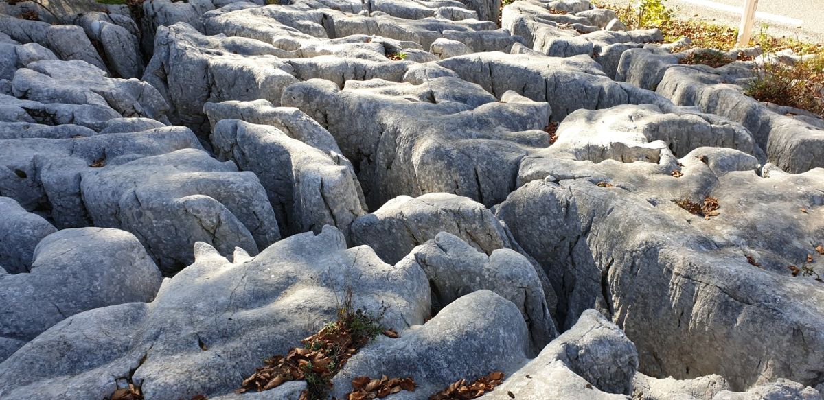 ok, it's not the Giant's causeway in Northern Ireland, but these limestone rocks eroded by water over millions of years are all over the place up here & something not to miss out on seeing up close.. ok, it's not the Giant's causeway in Northern Ireland, but these limestone rocks eroded by water over millions of years are all over the place up here & something not to miss out on seeing up close..