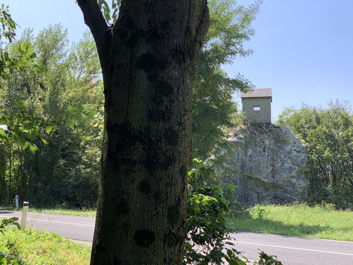Always keep an eye open for a wooden hut parked on top of an enormous rock.. you never know what you will see in Green Slovenia.. Always keep an eye open for a wooden hut parked on top of an enormous rock.. you never know what you will see in Green Slovenia..