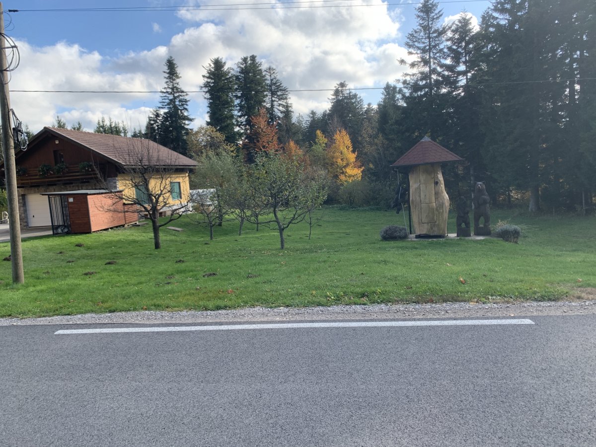 The bear signals local honey for sale at this house.. The bear signals local honey for sale at this house..