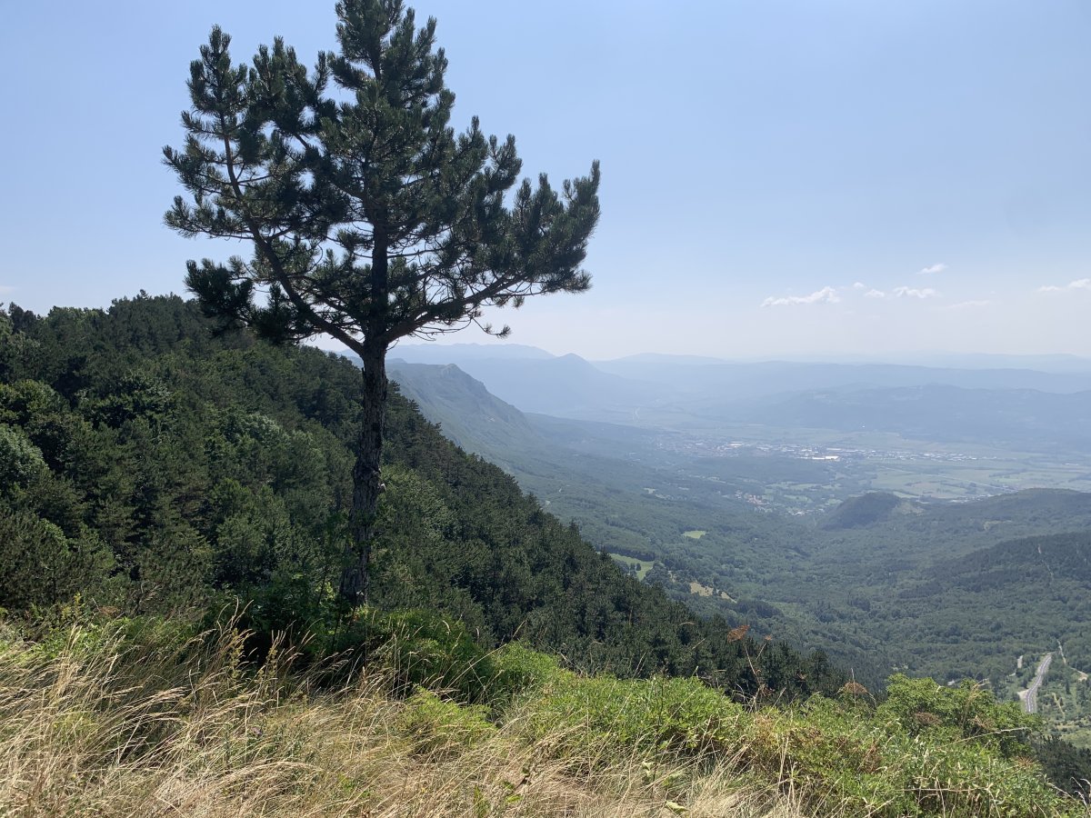 a hazy Vipava Valley floor stretches out below.. a hazy Vipava Valley floor stretches out below..