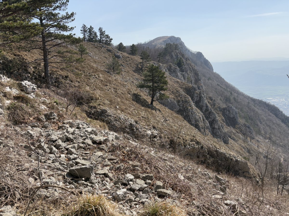 the Karst rock cliffs reveal themselves until covered in Green from May.. the Karst rock cliffs reveal themselves until covered in Green from May..