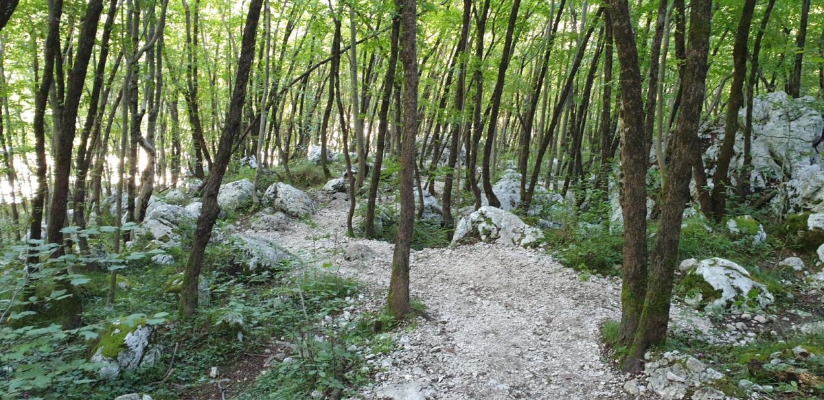 the hiking path to the Falls is picture perfect and shady on a hot summer day.. the hiking path to the Falls is picture perfect and shady on a hot summer day..