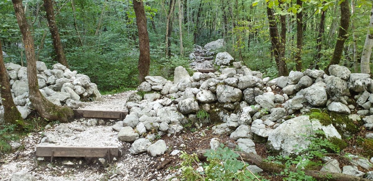 wow.. you forget the mild discomfort of going up hill when the path is so stunningly beautiful like this! wow.. you forget the mild discomfort of going up hill when the path is so stunningly beautiful like this!
