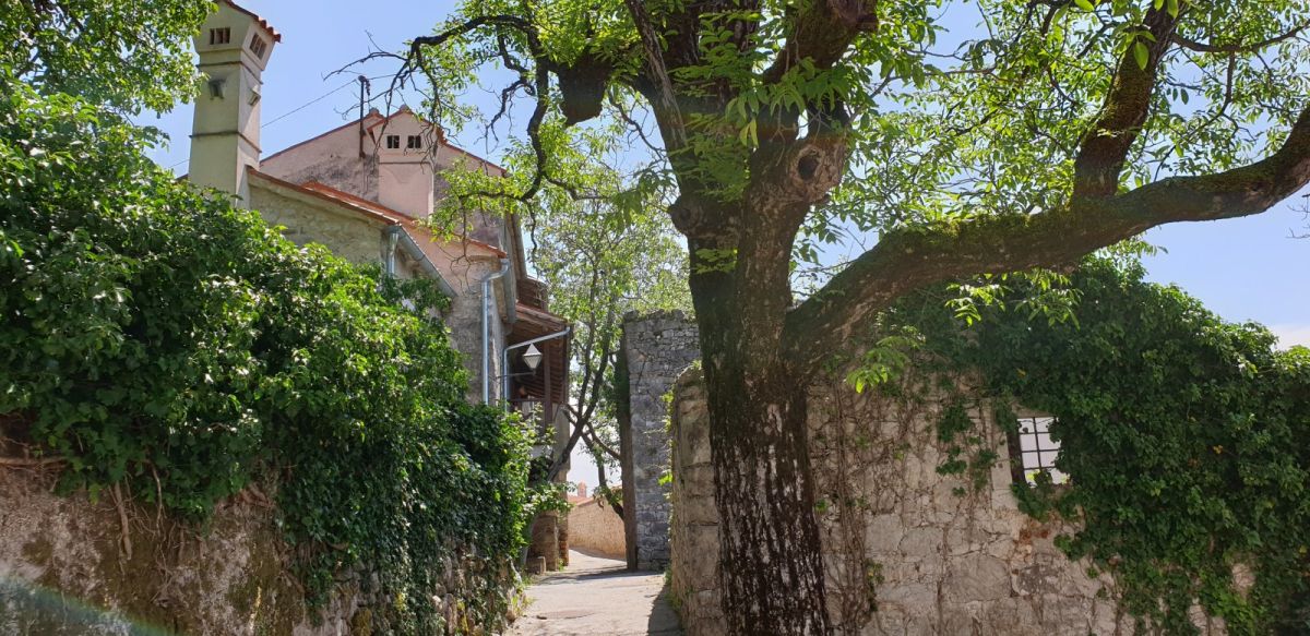 explore the narrow streets with cute little stone houses.. explore the narrow streets with cute little stone houses..