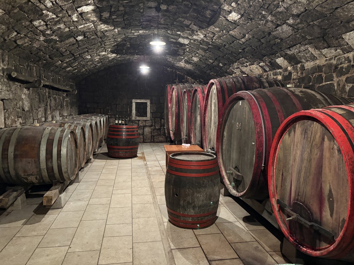 No wine cellar in Slovenia looks the same.. No wine cellar in Slovenia looks the same..