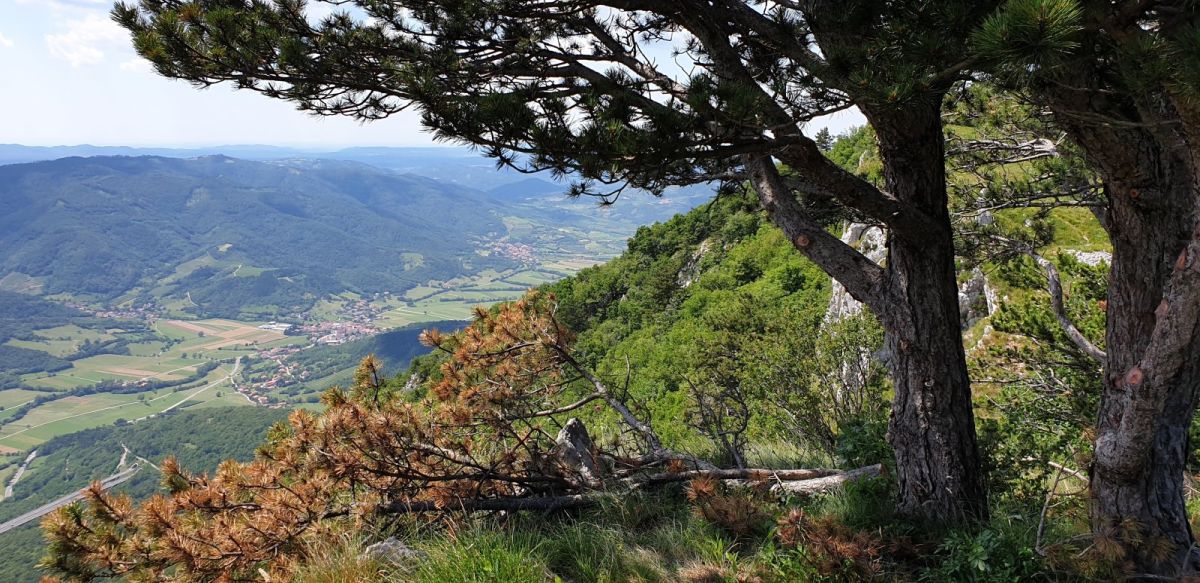 an airplane view from the top of Nanos down into the Vipava valley..