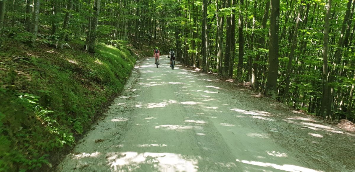 this downhill freewheel went on for almost 10 mins and we can only describe it as paradise..
