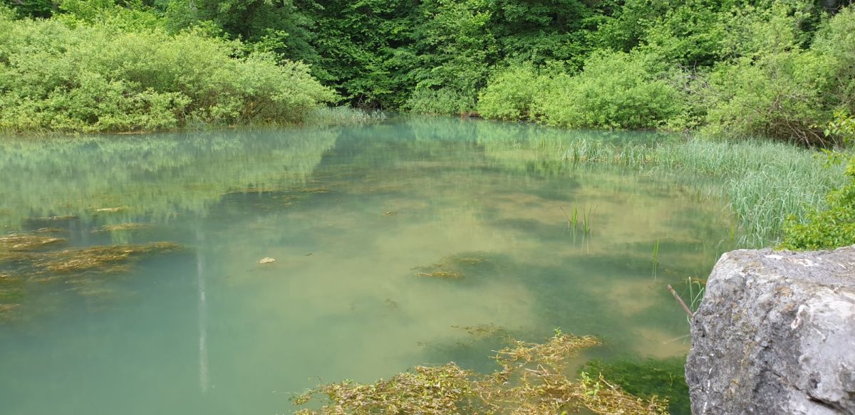 the colour of the springs is very special..
