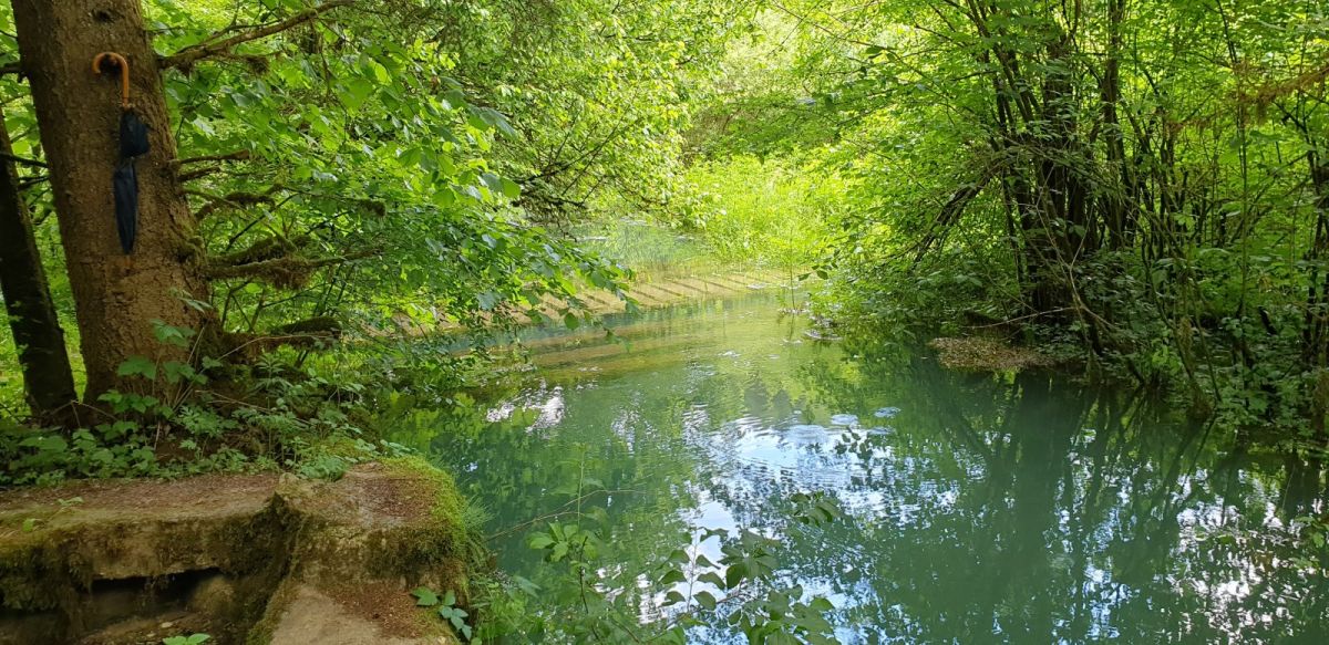 can you see the boardwalk path that leads from the town to here at the source.. not today it doesn't unless you have flippers..