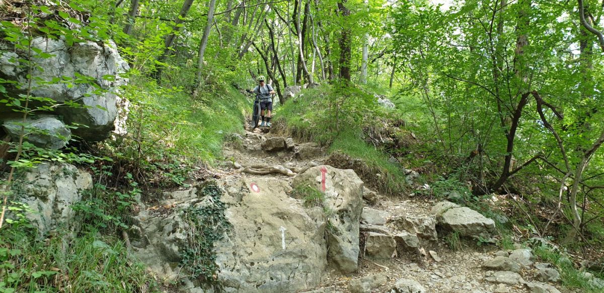 typical of the kind of rocky stone path you get on parts of Nanos..