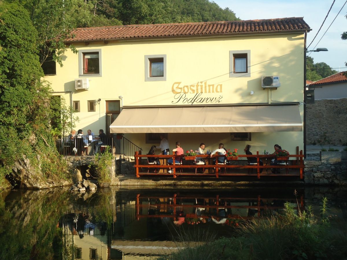 see trout spring from the spring in front of Podfavorz restaurant in Vipava old town.. see trout spring from the spring in front of Podfavorz restaurant in Vipava old town..