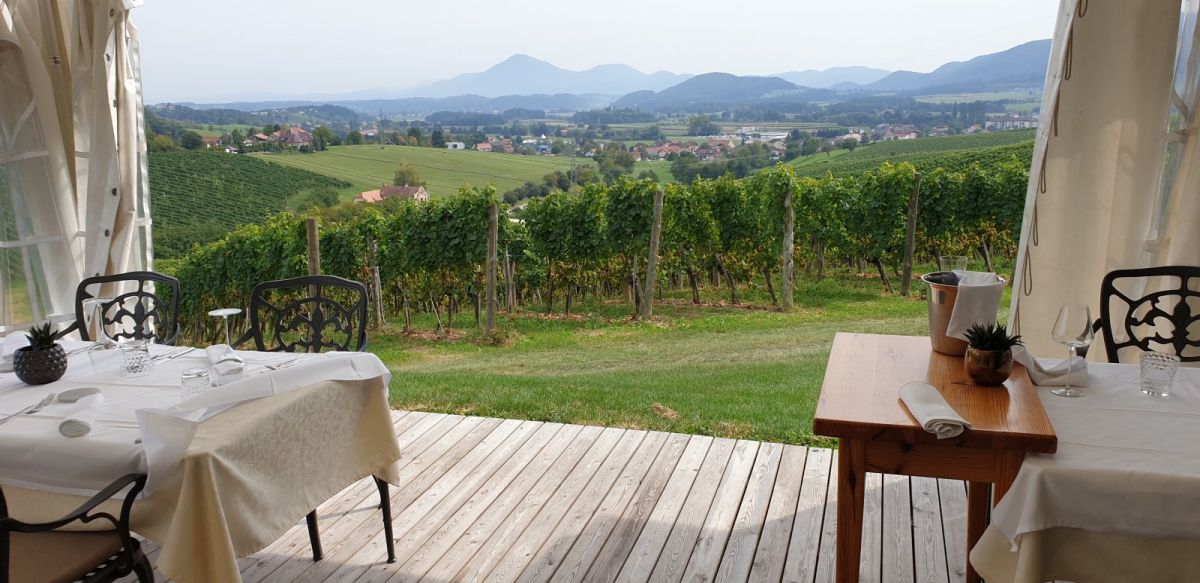 this fab local restaurant is in the middle of a vineyard near Horseville (Slovenska Konjice).. this fab local restaurant is in the middle of a vineyard near Horseville (Slovenska Konjice)..