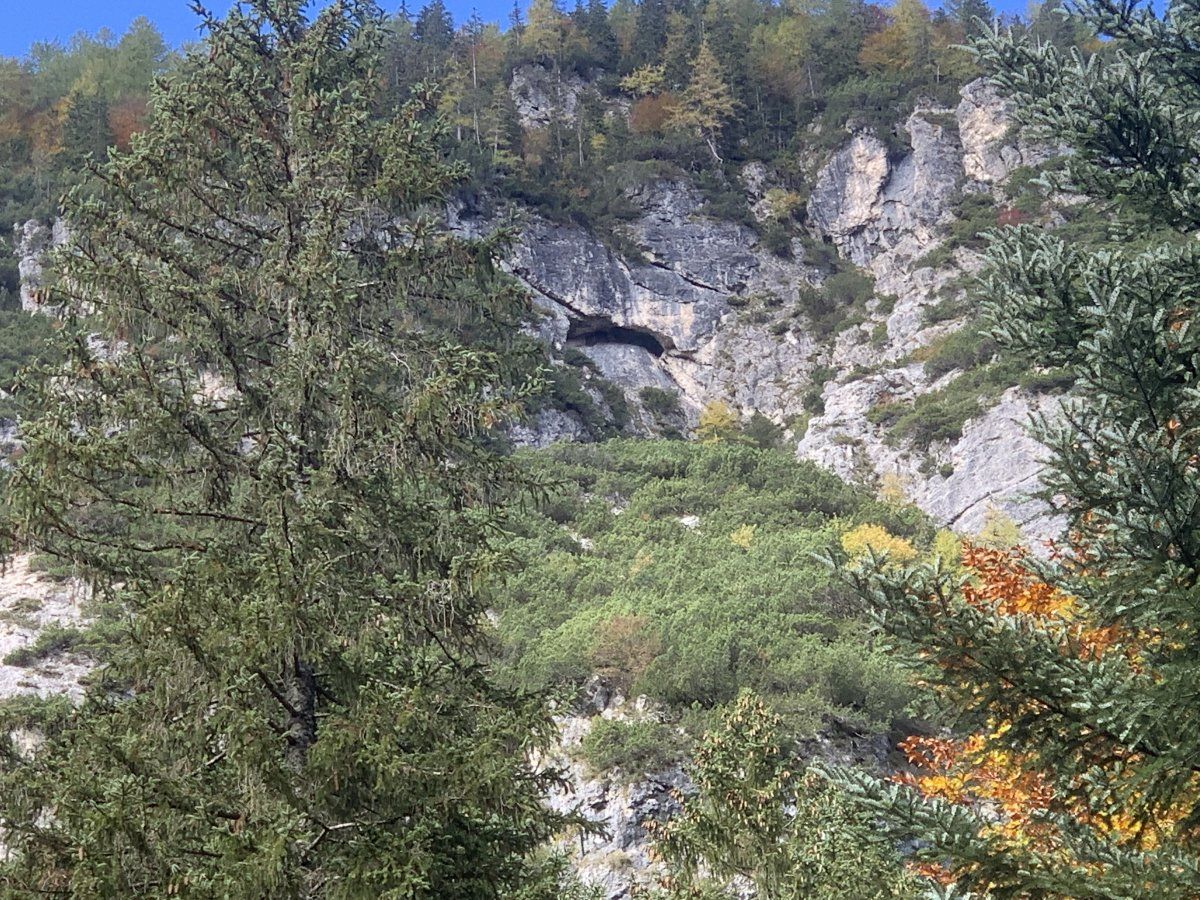 we spotted a cave high up in the rock wall on the side of the Tamar Valley hike..