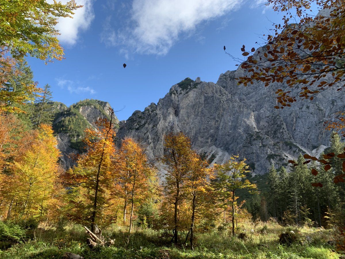 autumnal mountain walls on both sides of the walk..