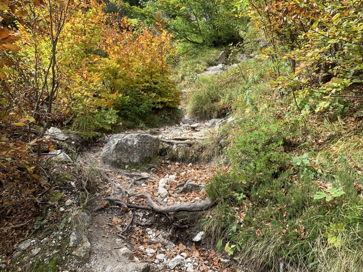 it was a really unexpected and exciting Green Slovenian adventure going up to the spring..