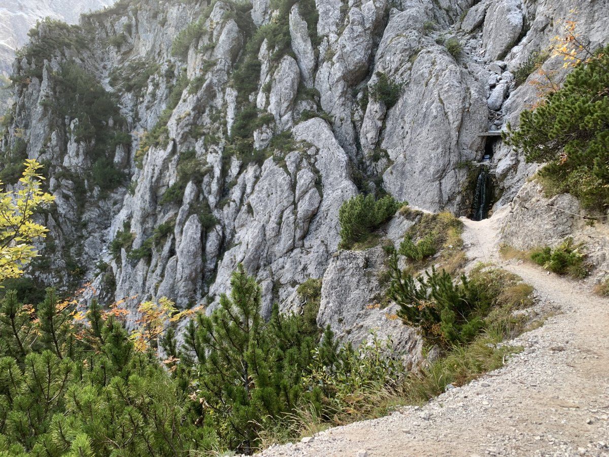 Planica Hike
