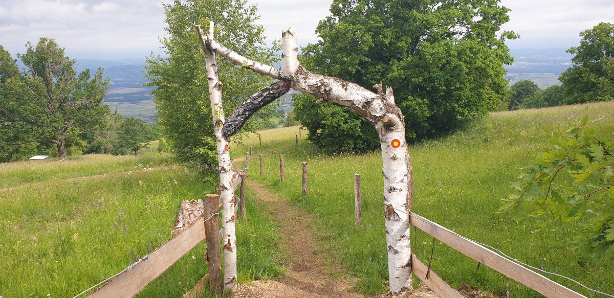 a short walk here, but a good place to call the start of the trail, follow the red circles.. a short walk here, but a good place to call the start of the trail, follow the red circles..