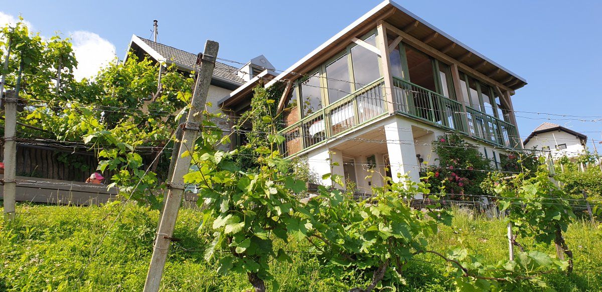 one of the many weekend vineyard cottages looking out high over Novo Mesto.. one of the many weekend vineyard cottages looking out high over Novo Mesto..