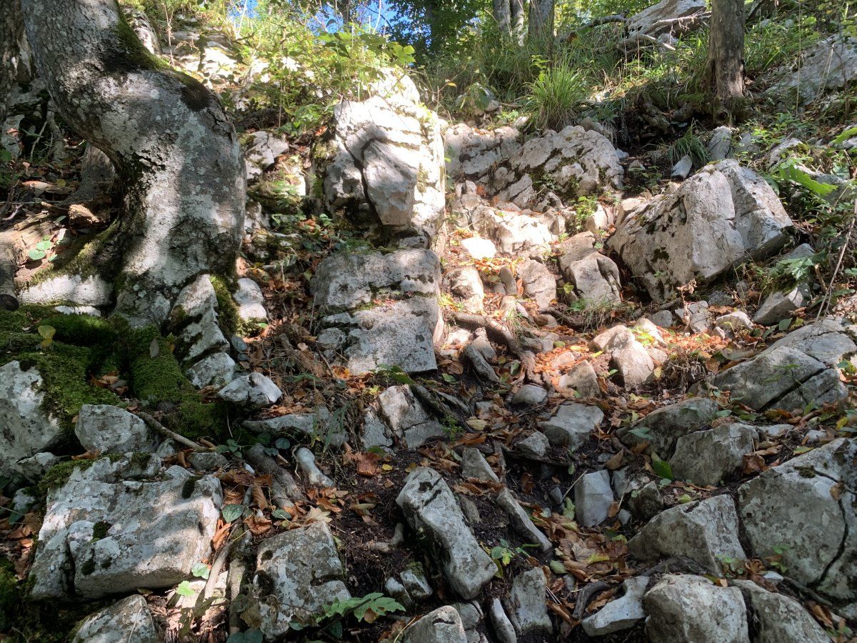 If you wanted to know what a Karst landscape looks like.. this little staircase is the real deal and was so much fun to climb up!