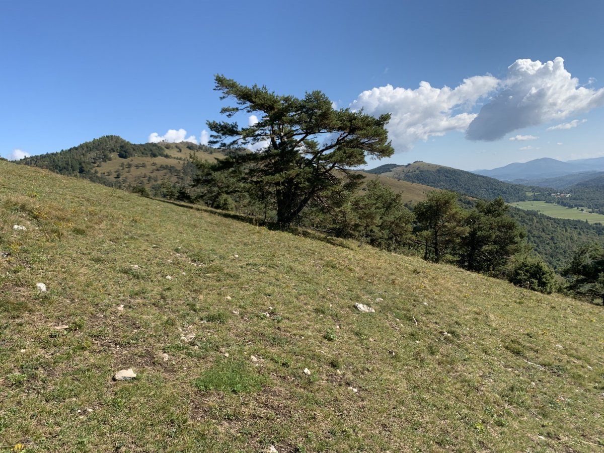the camera is not wonky, the mountain is just very steep with great views over to Planina..