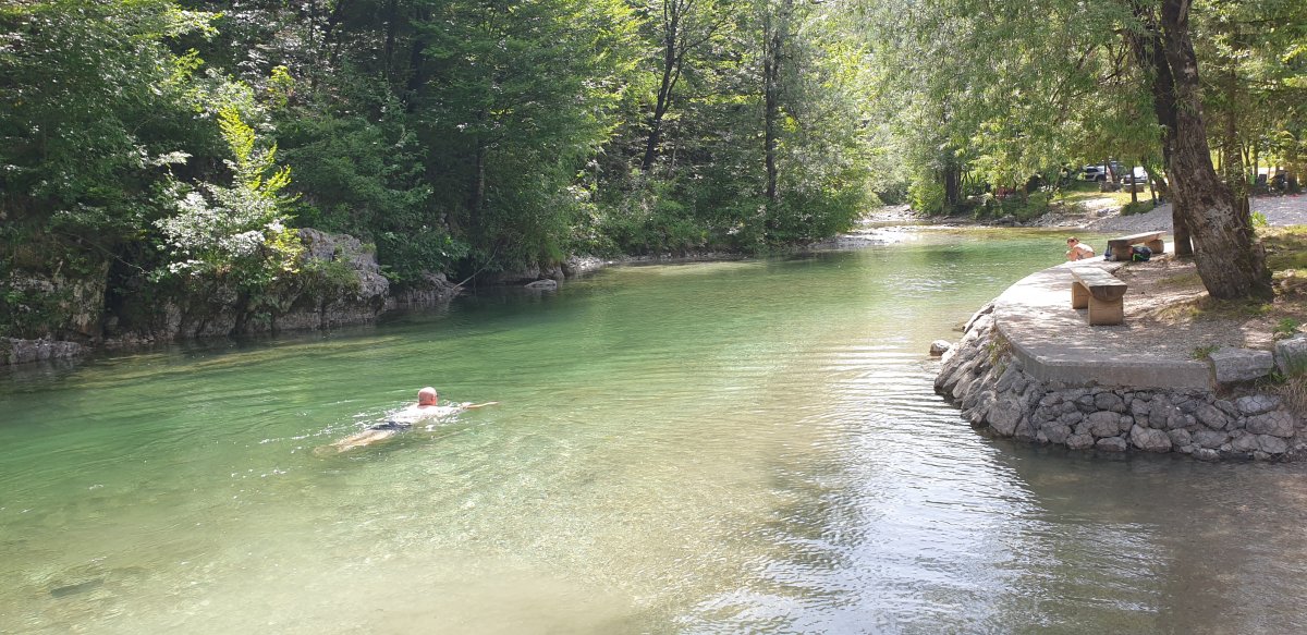 swim in the Bela Idrija river..