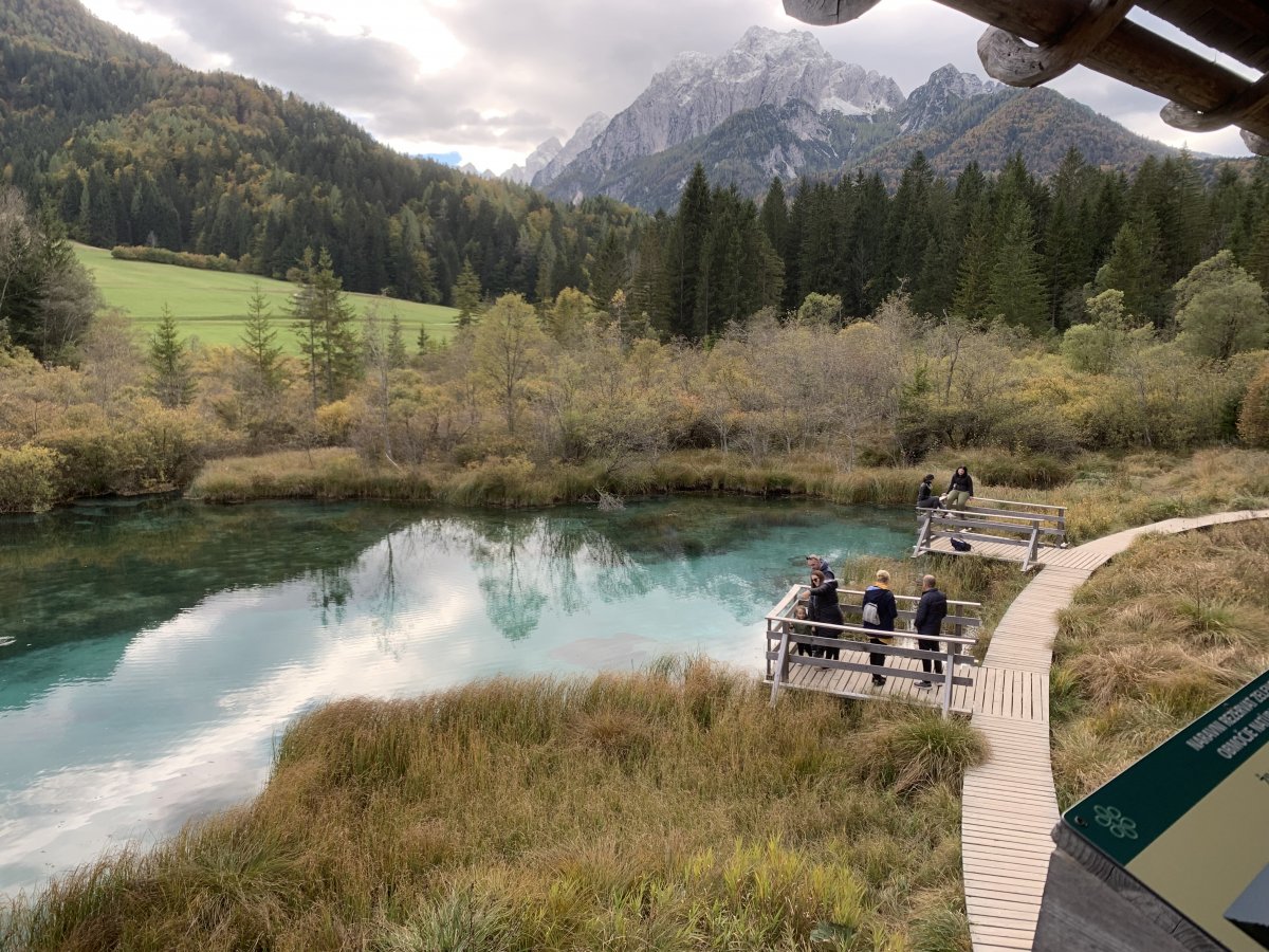 find the magical springs of lots of rivers popping up all over the place, this is where the Sava river starts..