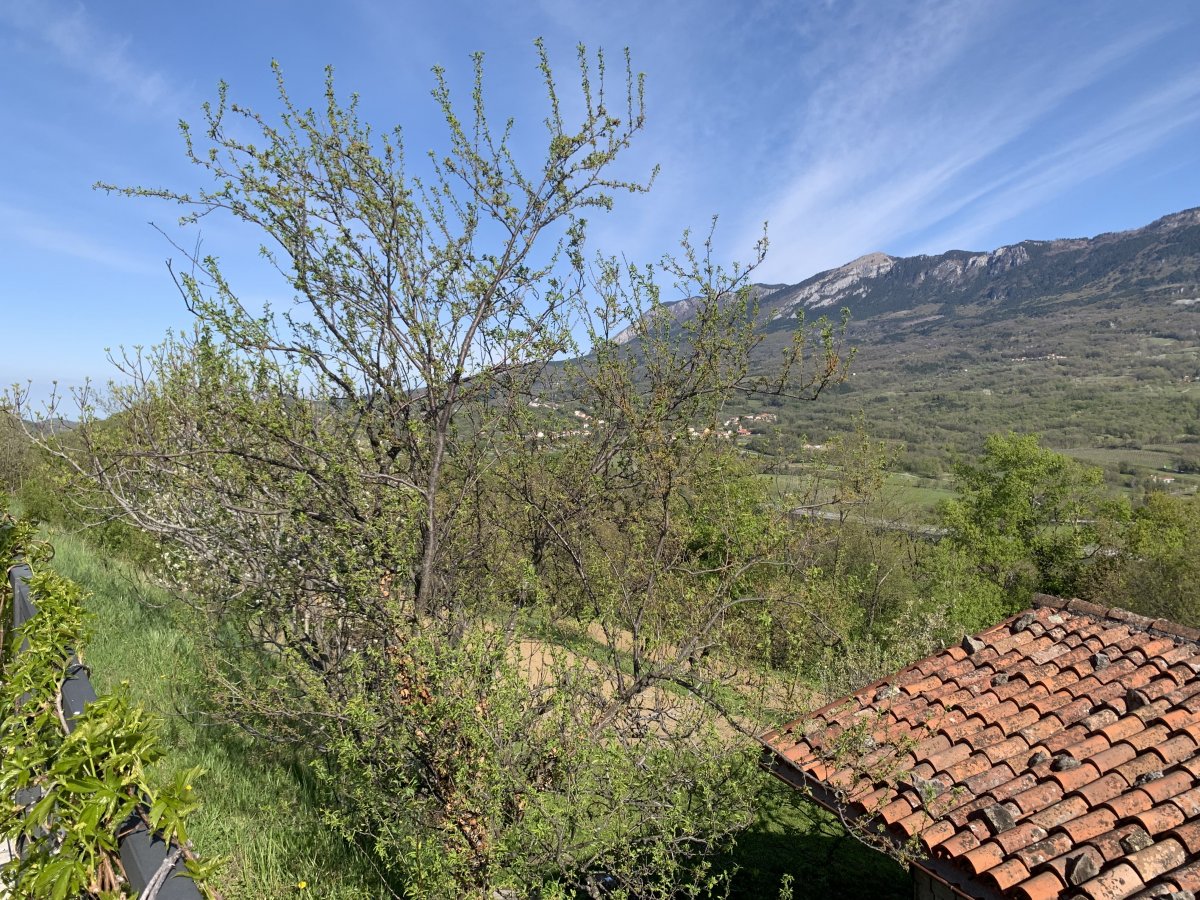 view up the Vipava valley, charactised by the huge green wall with hikes everywhere..