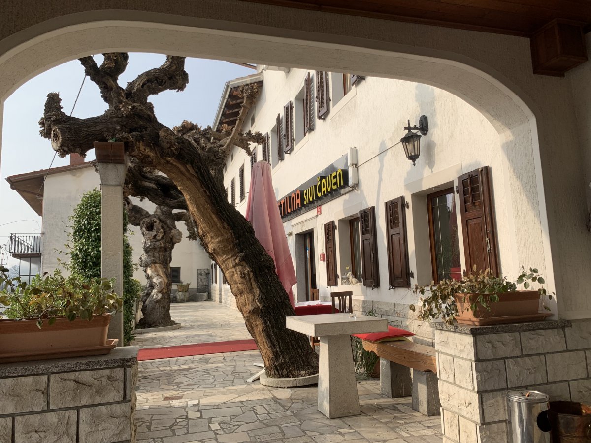 fantastic local Vipava valley food served here at Crni Caven, we sat outside in Feb, no probs..
