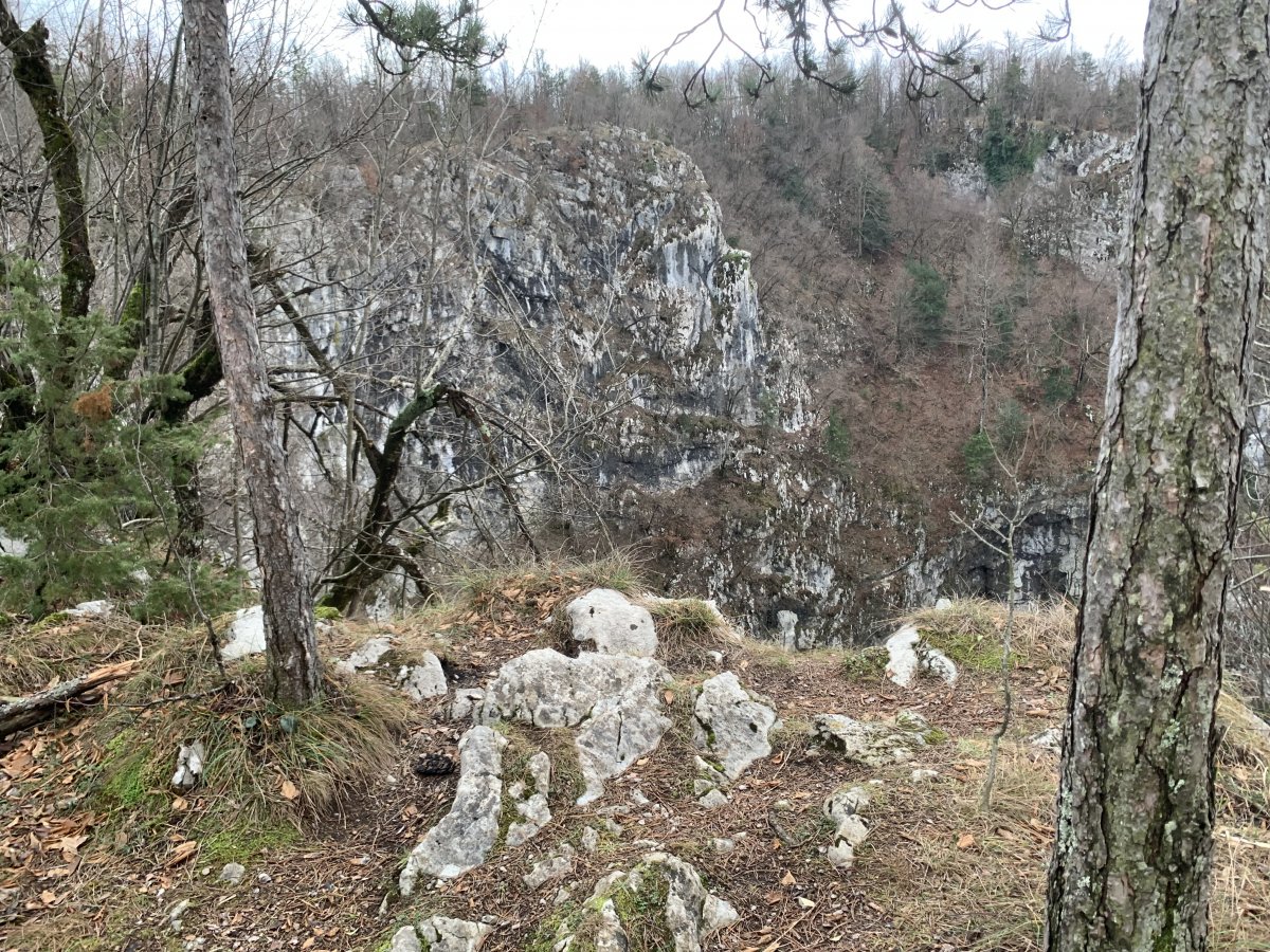 massive Unec crater in the middle of the forest..
