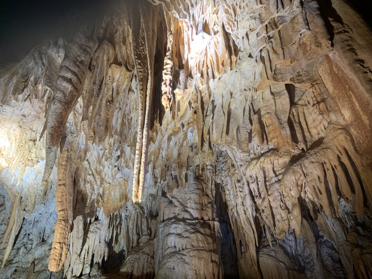 Karst underground forest.. Karst underground forest..
