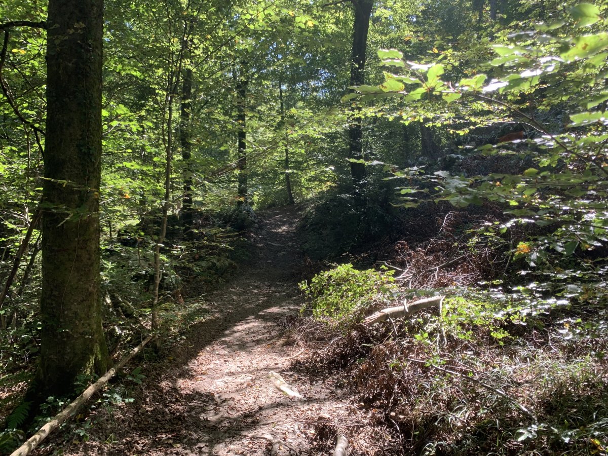 Along the trail..
