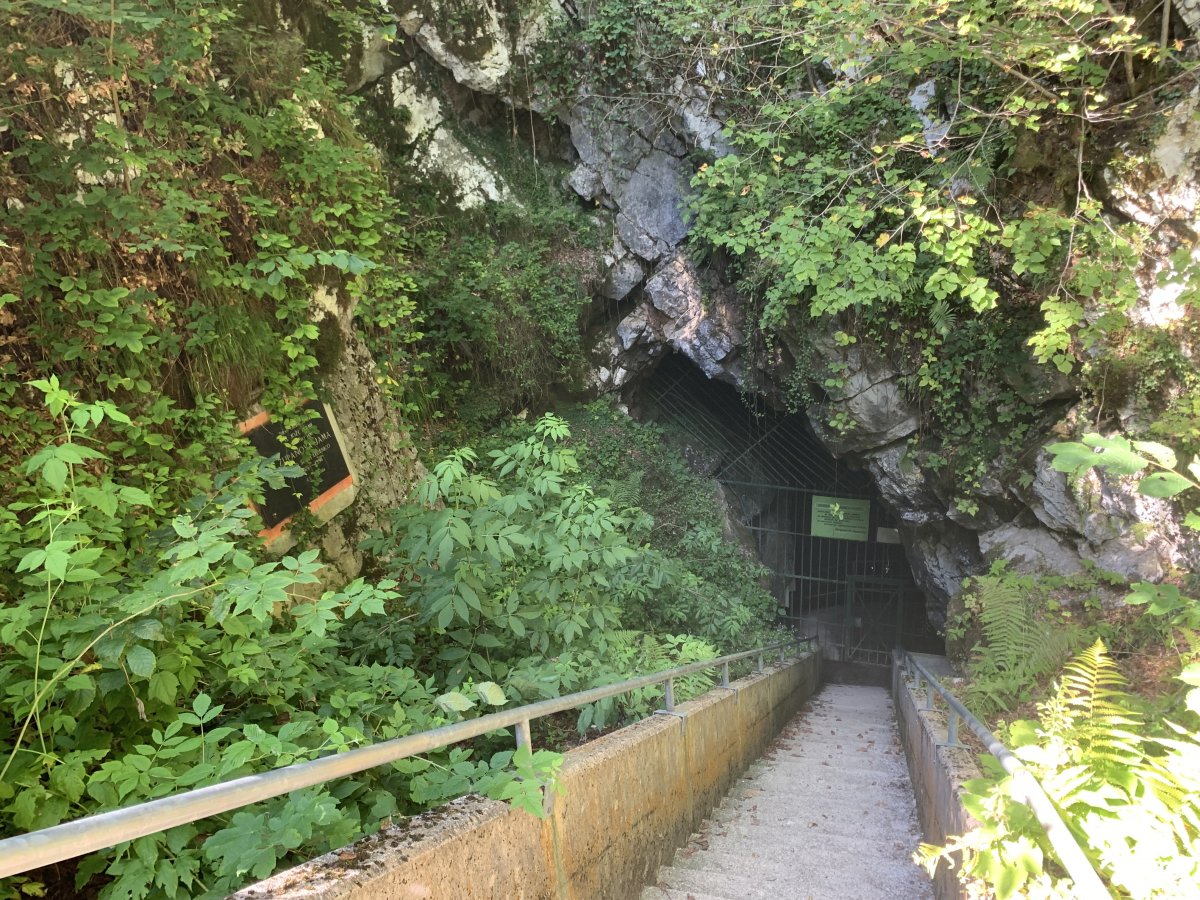 this is the entrance to the ice cave at Supanova cave on the Kingfisher Trail..