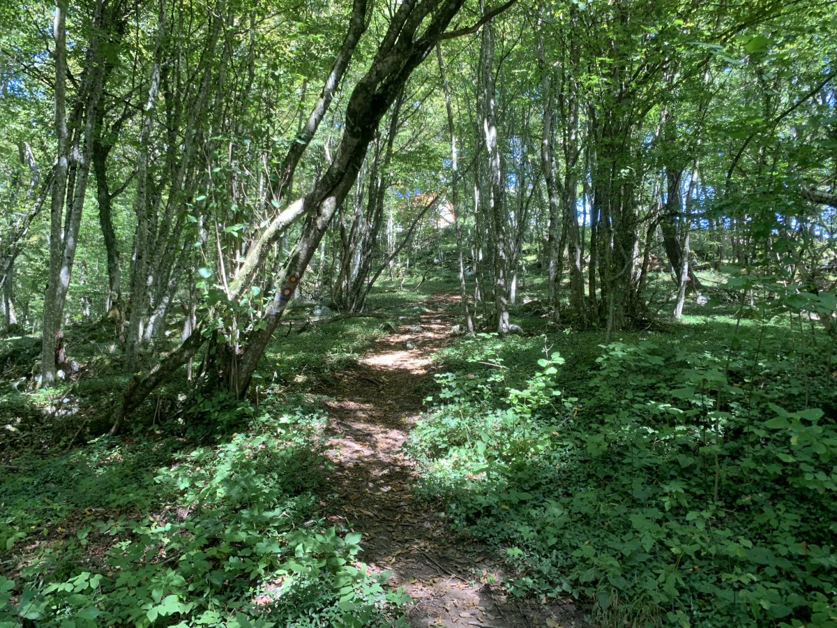 the final walk up the hill to one of the most fantastic fortress churches in Green Slovenia..
