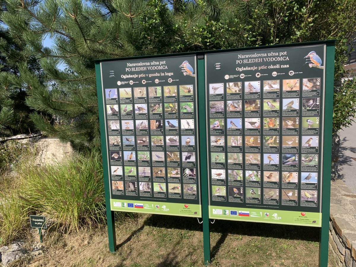 Lots of info, lots of birds, wow what a secret place..